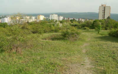 V Novém Lískovci hledají projektanta pro novou kapli